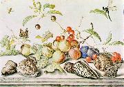 Still-life ggg